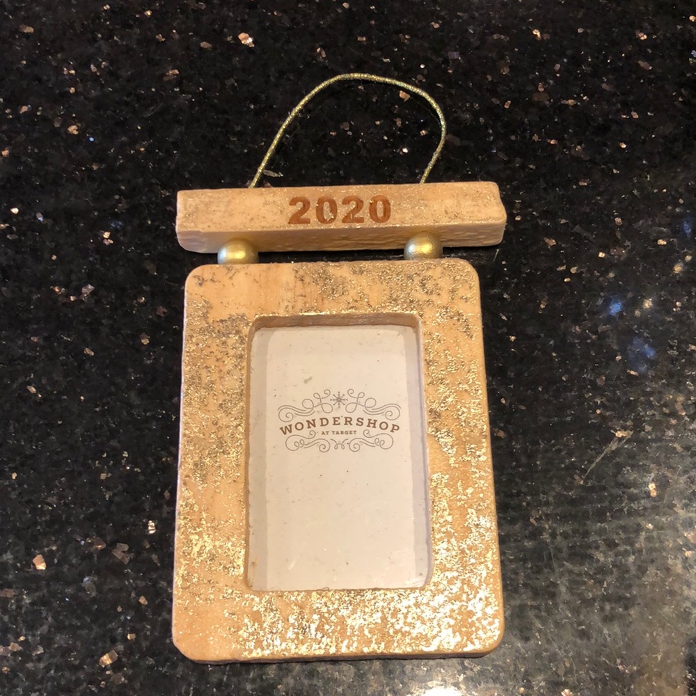 2020 pictures ornament
